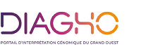 Logo DIAGHO